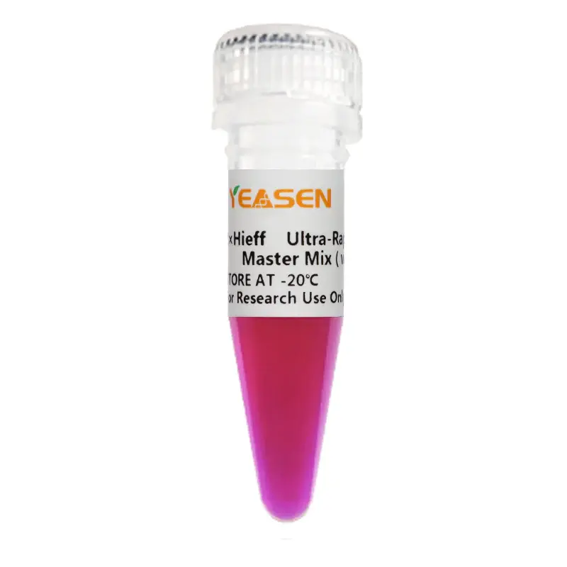 2×Hieff PCR Master Mix  With Dye