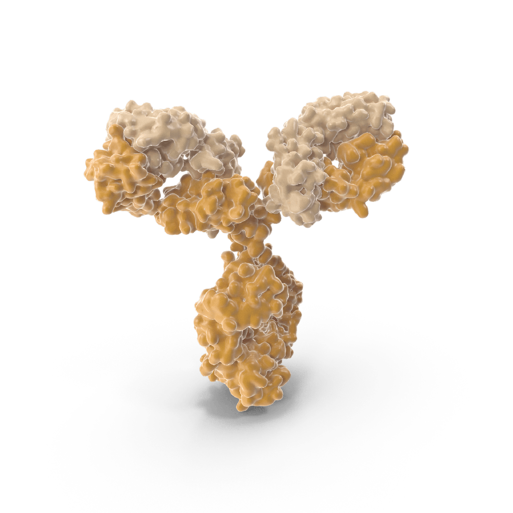 Antisize:human Integrin α4β7 Recombinant Antibody  J19 , Conj µgation: NONE, Endotoxin: RegµLar without removal, 1 mg