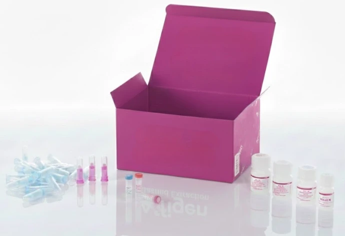 [0131-LC10011-L60] Nicht-kleinzelliges Lungenkarzinom mit normalem Lungengewebearray, einschließlich pathologischer Qualität, TNM und klinischer Phase (AJCC 8. Auflage), 50 Fälle/100 Kerne (Kerngröße 1,0 mm)