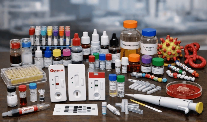[0964-C11271-15T] Tollwutvirus-Antigentestkarte – 15 Tests / Kit